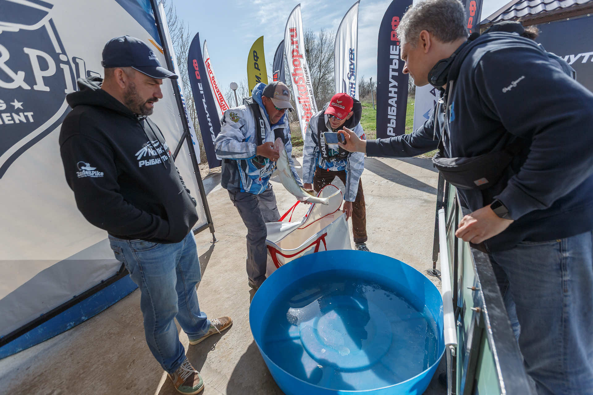 Весенний этап 2026 - Процедура взвешивания III тура - 2