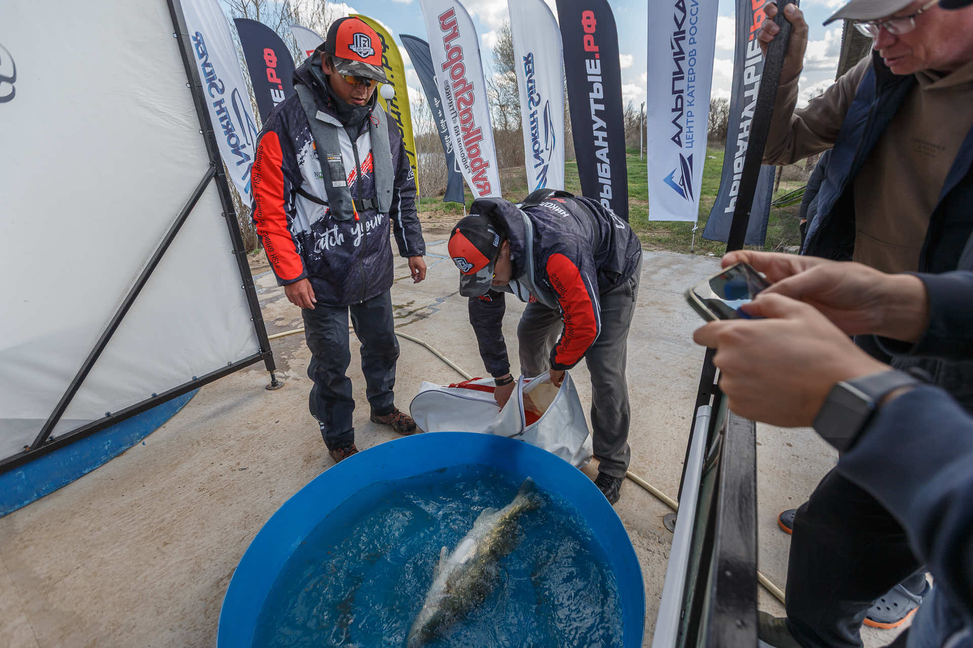 Весенний этап 2026 - Процедура взвешивания II тура - 3
