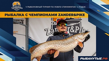 Рыбалка с чемпионами Zander&Pike 2023. Команда Zavidovo Fishing