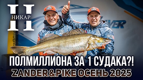 ПОЛМИЛЛИОНА ЗА ОДНОГО СУДАКА?!